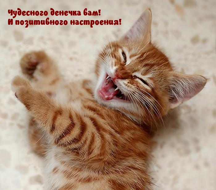 Чудесного денечка вам! И позитивного настроения!