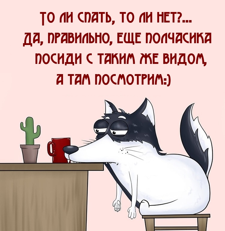 То ли спать, то ли нет?…