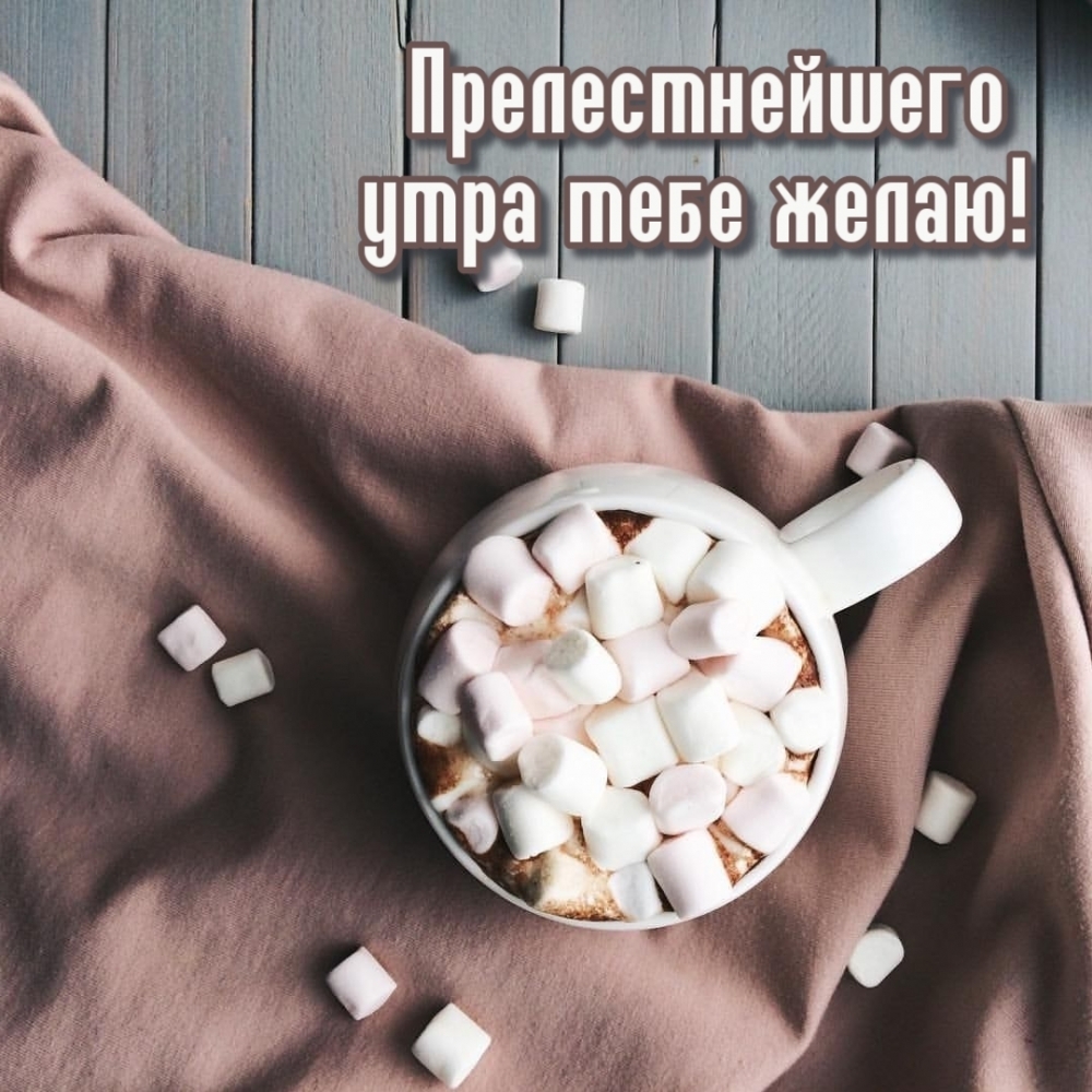 Прелестнейшего утра тебе желаю!