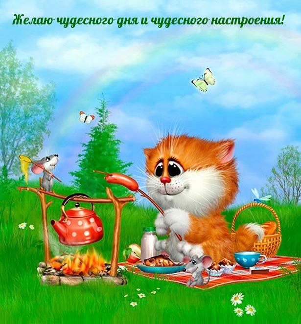 Желаю чудесного дня и чудесного настроения!