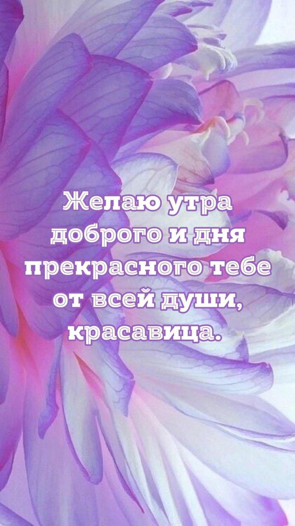 Желаю утра доброго и дня прекрасного тебе от всей души, красавица.