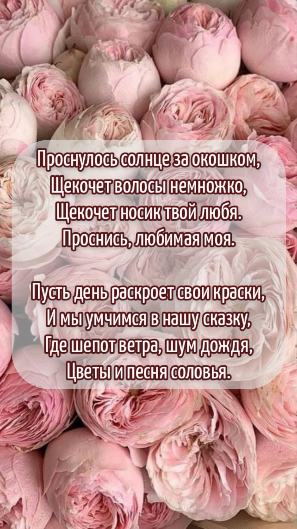 Проснулось солнце за окошком