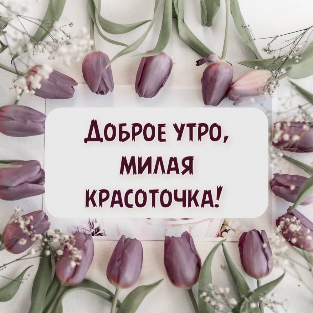 Доброе утро, милая красоточка!