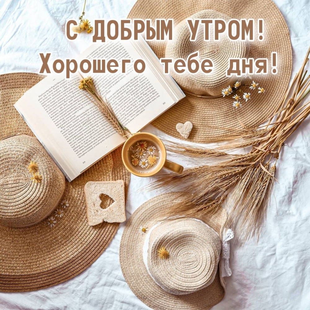 С ДОБРЫМ УТРОМ! Хорошего тебе дня!