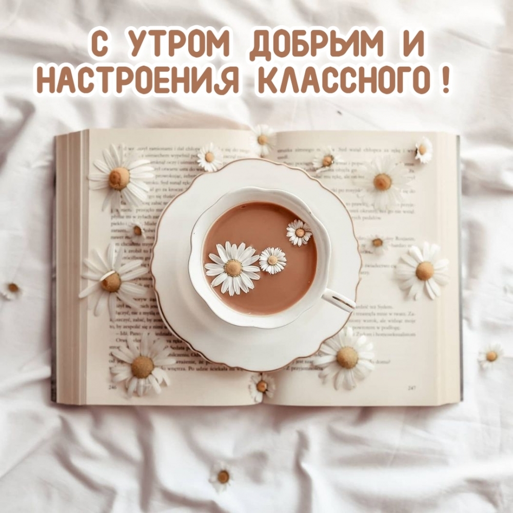 С УТРОМ ДОБРЫМ И НАСТРОЕНИЯ КЛАССНОГО!