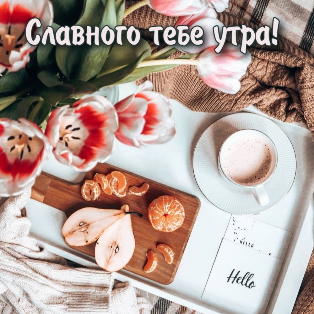 Славного тебе утра!
