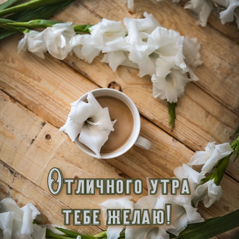 Отличного утра тебе желаю!