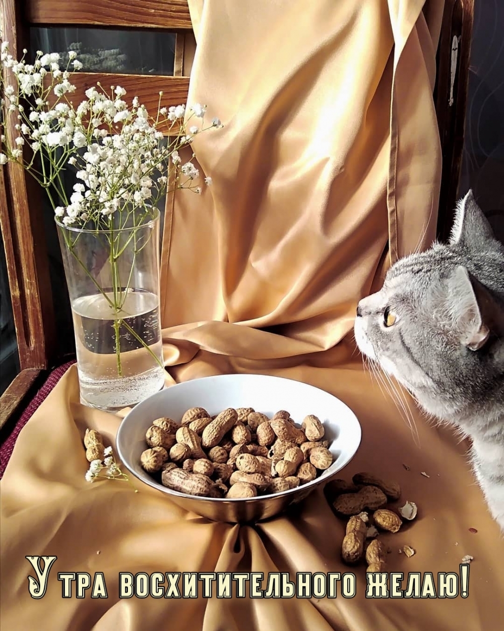 утра ВОСХИТИТЕЛЬНОГО желаю!