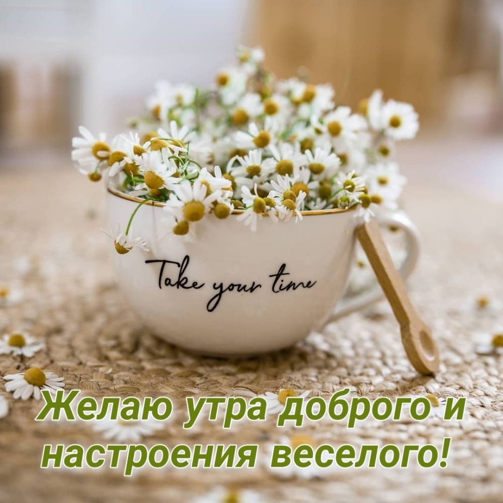 Желаю утра доброго и настроения веселого!
