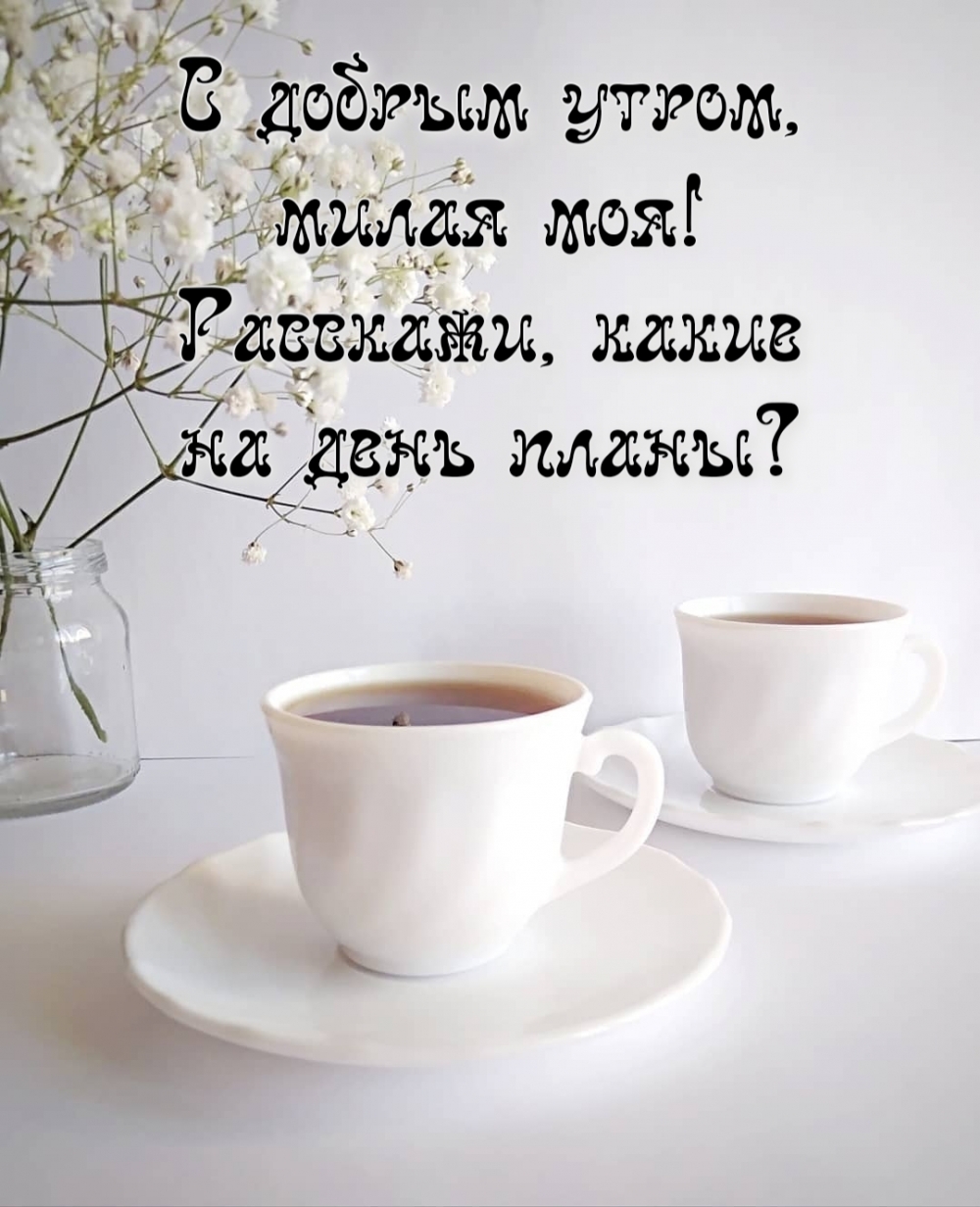 С добрым утром, милая моя! Расскажи, какие на день планы?