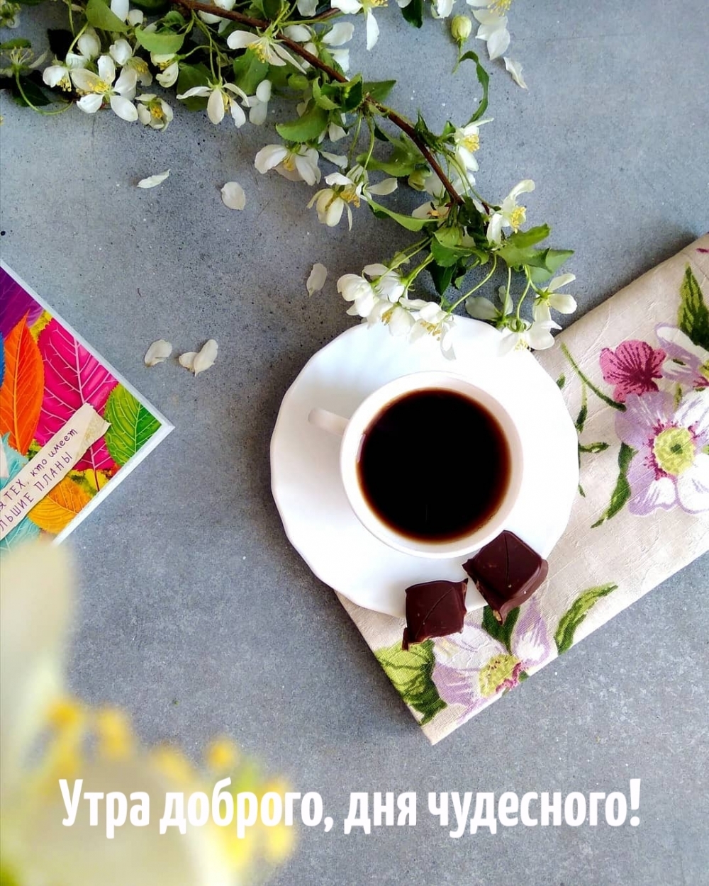 Утра доброго, дня чудесного!