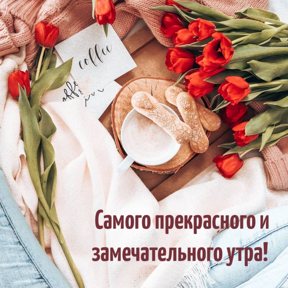 Самого прекрасного и замечательного утра!