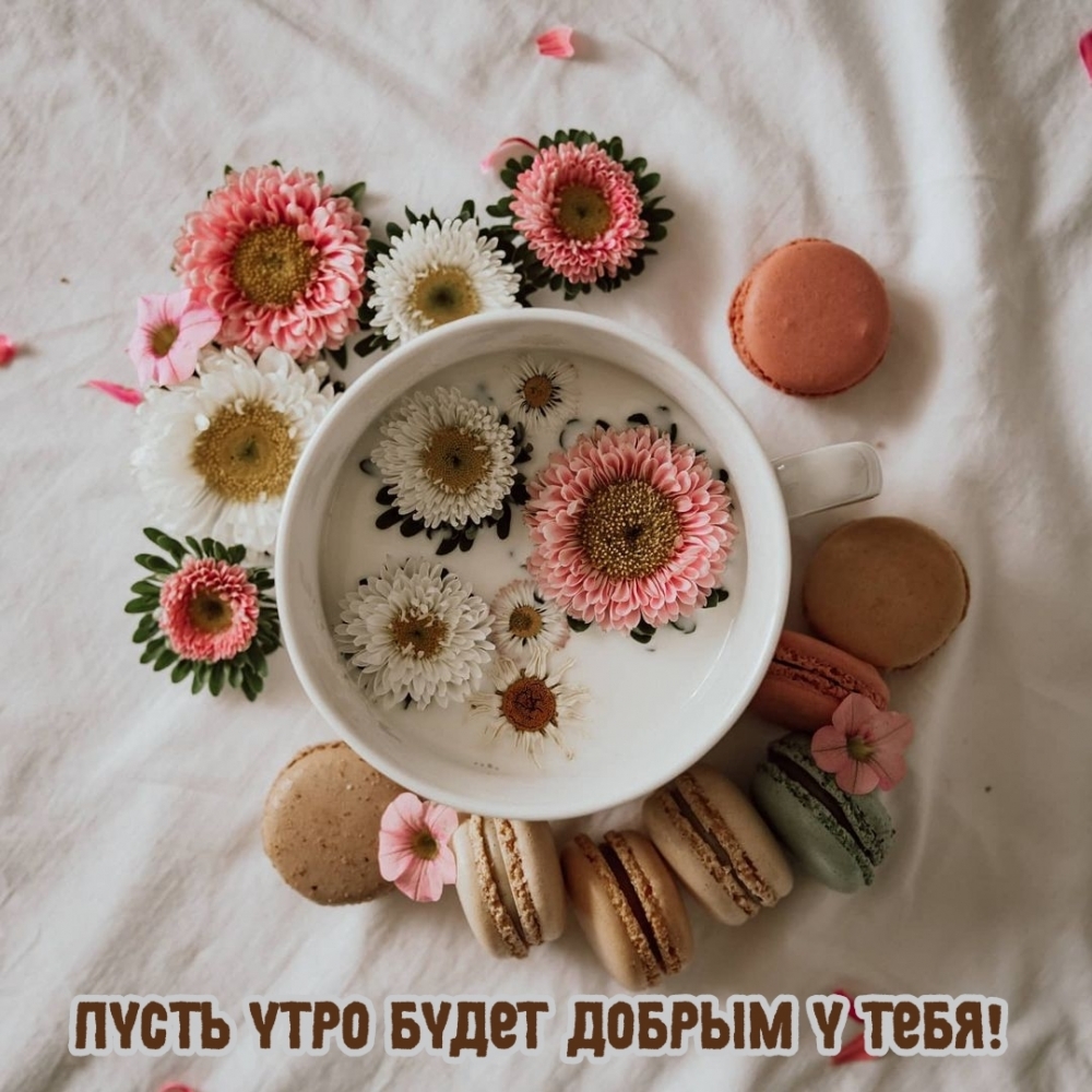 Пусть утро будет добрым у тебя!