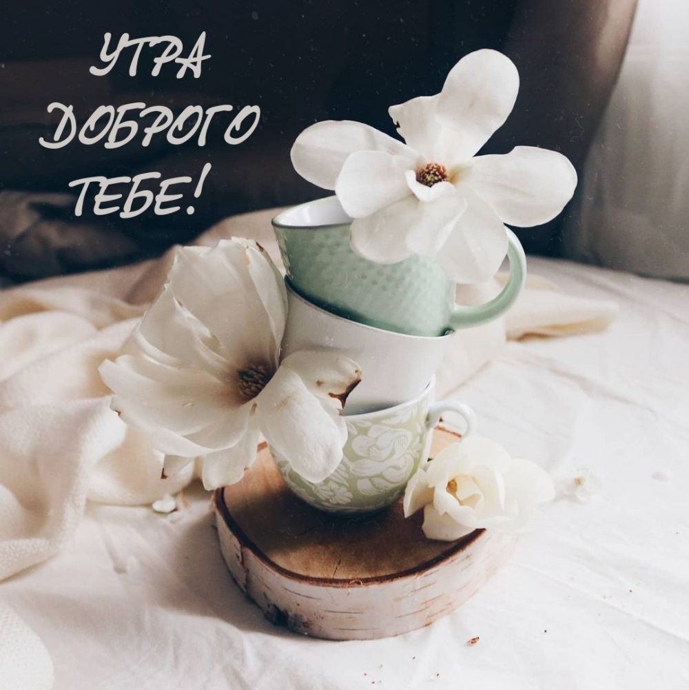 УТРА ДОБРОГО ТЕБЕ!
