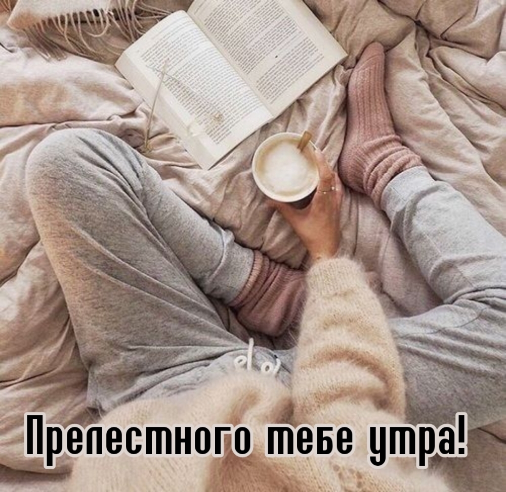 Прелестного тебе утра!