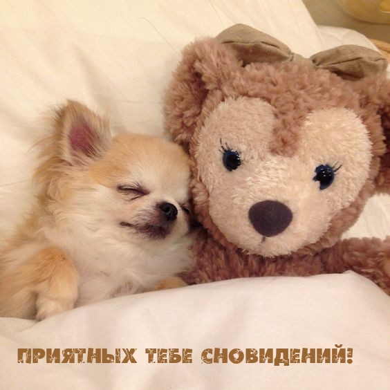 Приятных тебе сновидений!