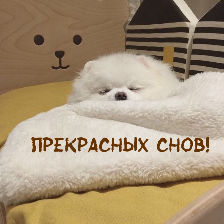 Прекрасных снов!
