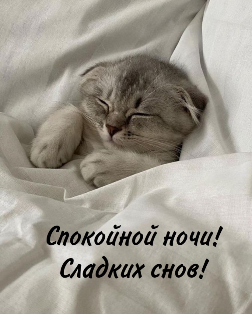Спокойной ночи! Сладких снов!