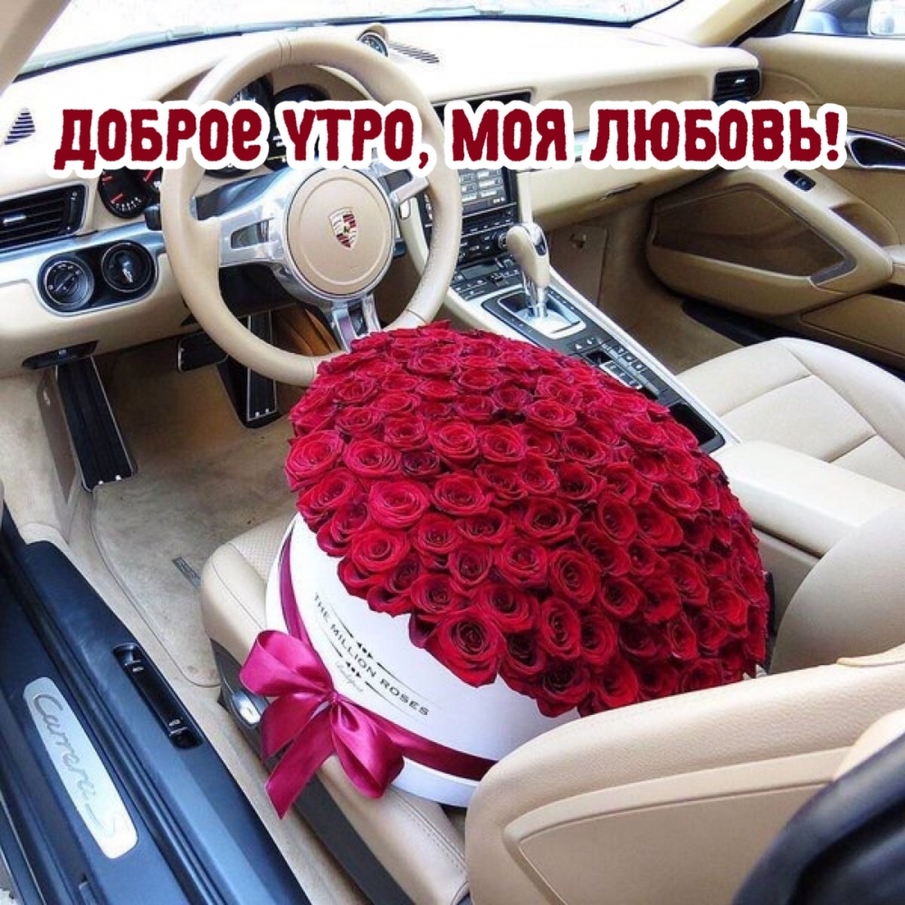 Доброе утро, моя любовь!