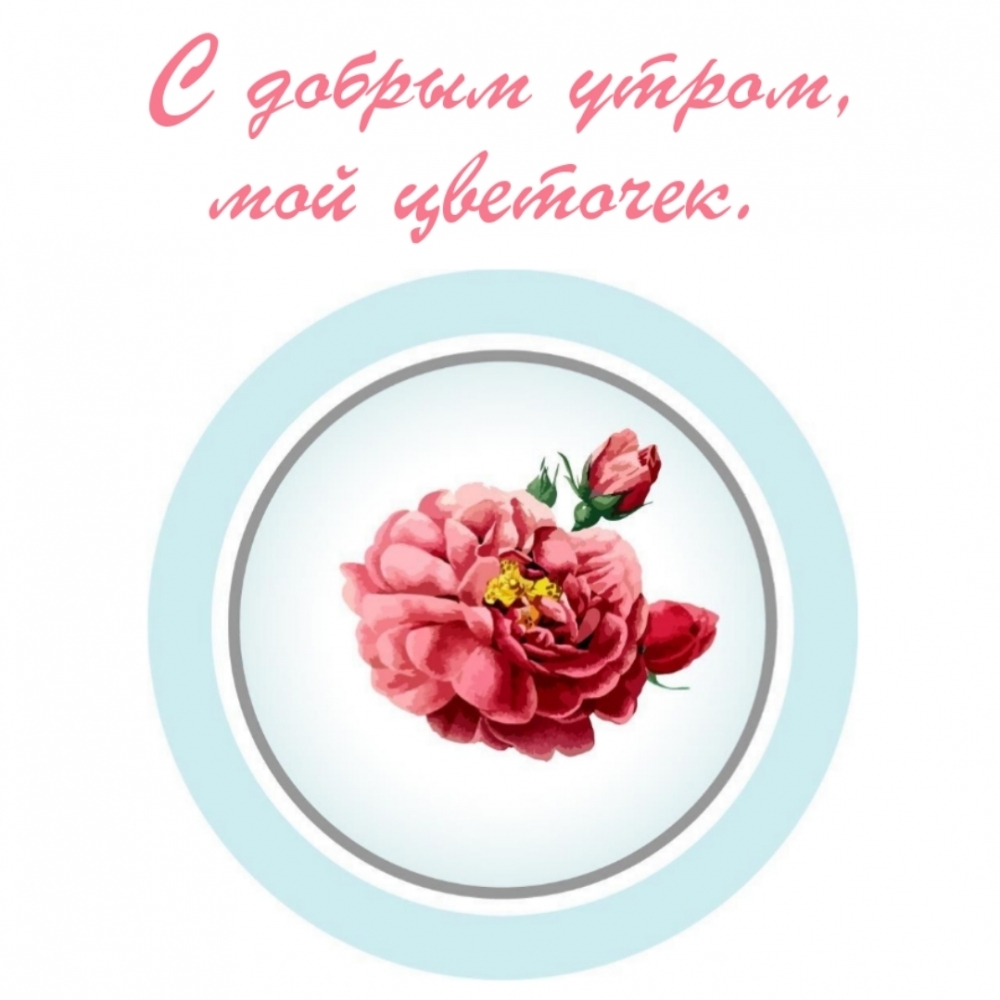С добрым утром, мой цветочек.