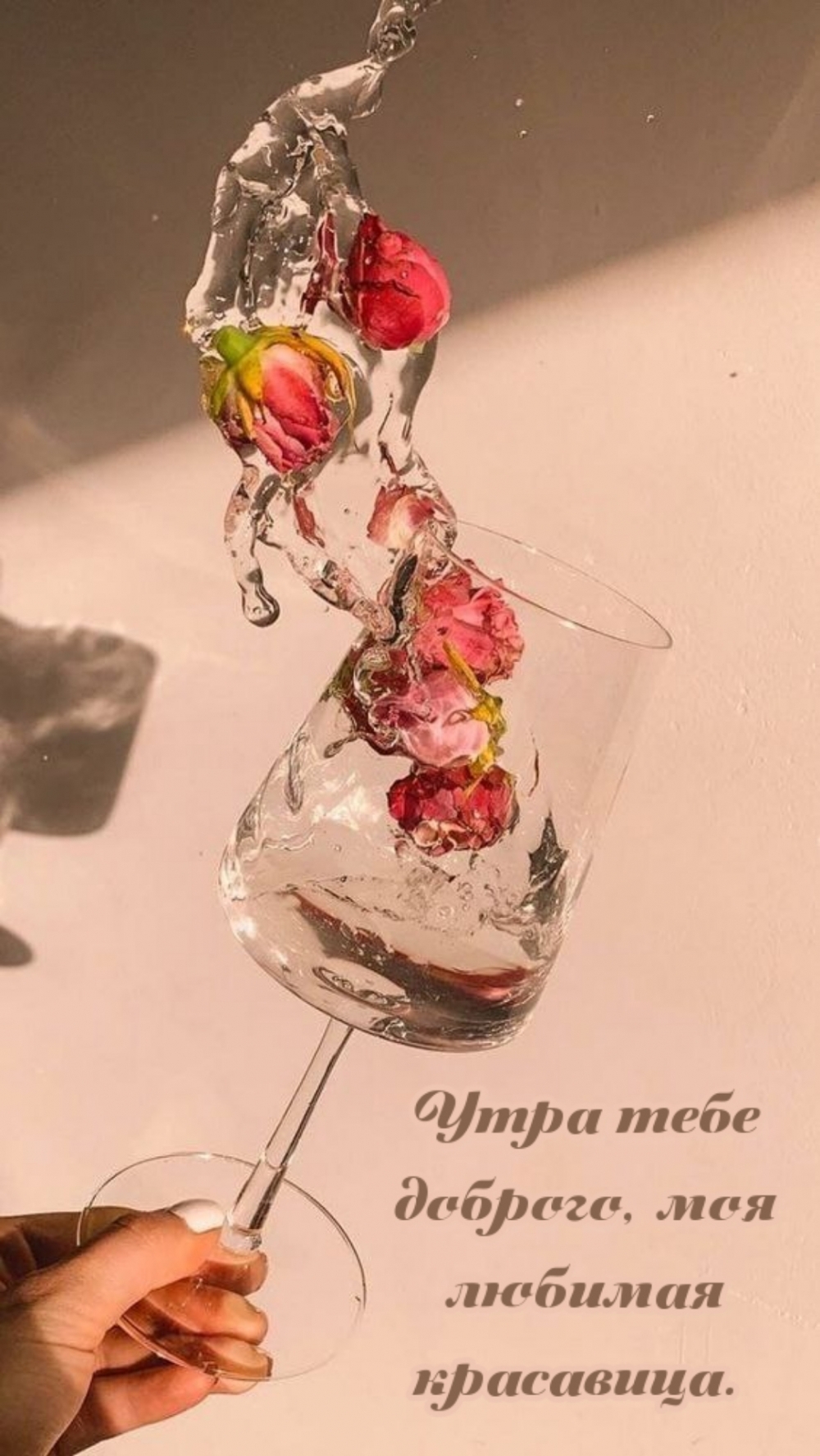 Утра тебе доброго, моя любимая красавица.