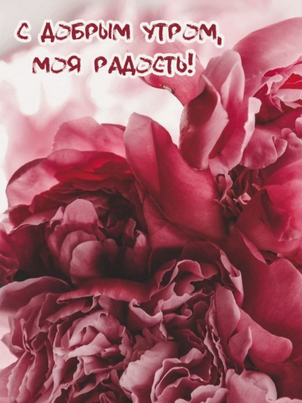 С добрым утром, моя радость!