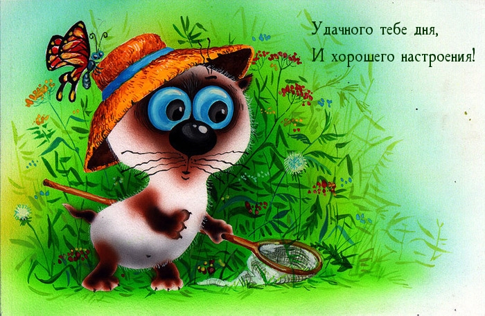 Удачного тебе дня, И хорошего настроения!