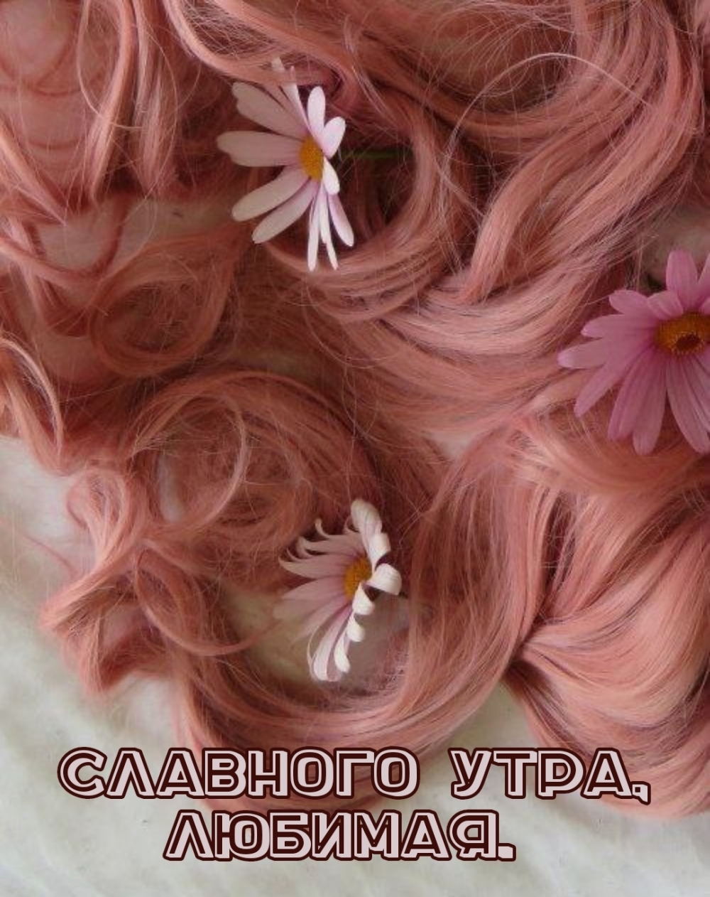 СЛАВНОГО УТРА, ЛЮБИМАЯ.
