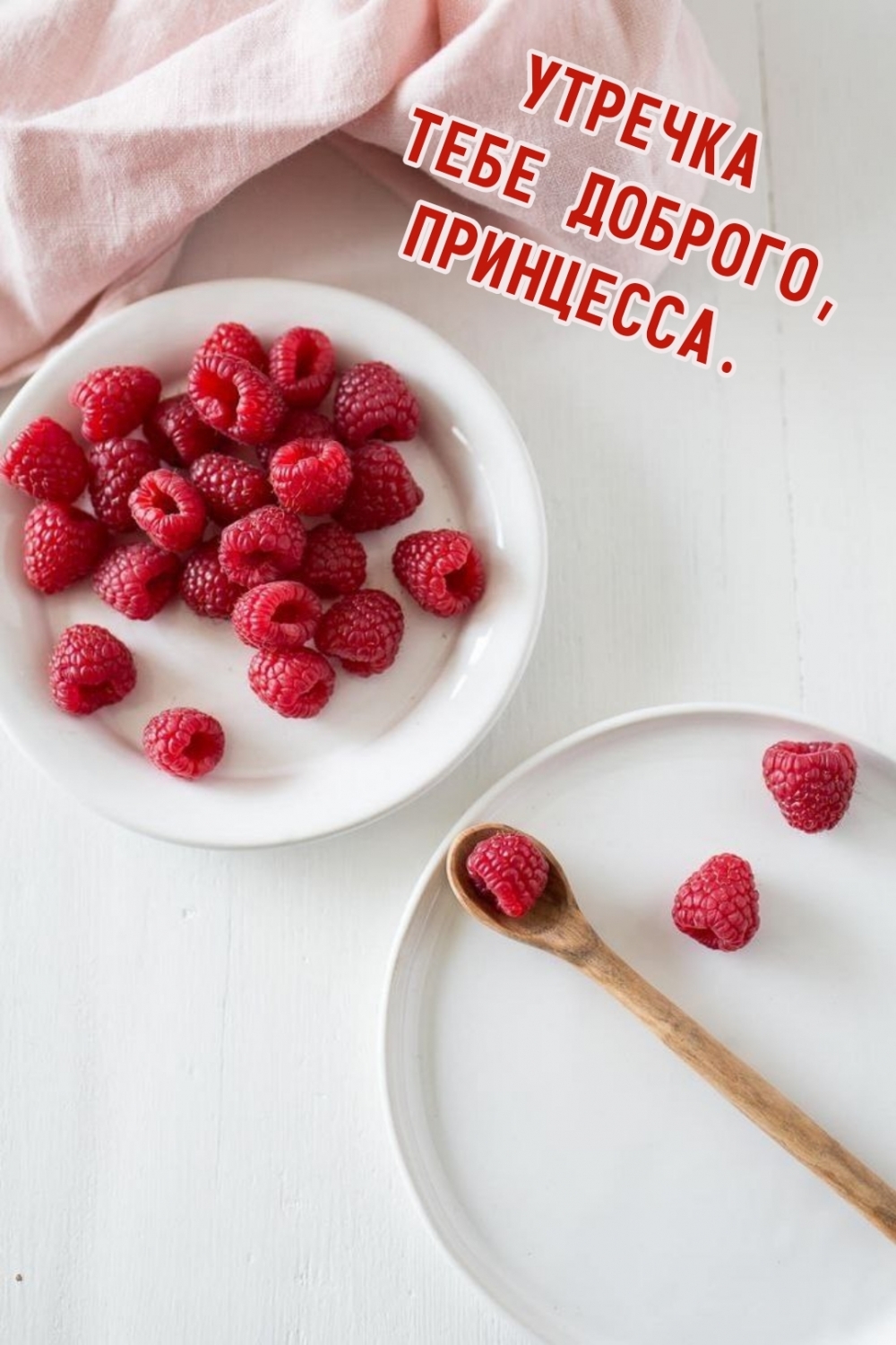 УТРЕЧКА ТЕБЕ ДОБРОГО, ПРИНЦЕССА.