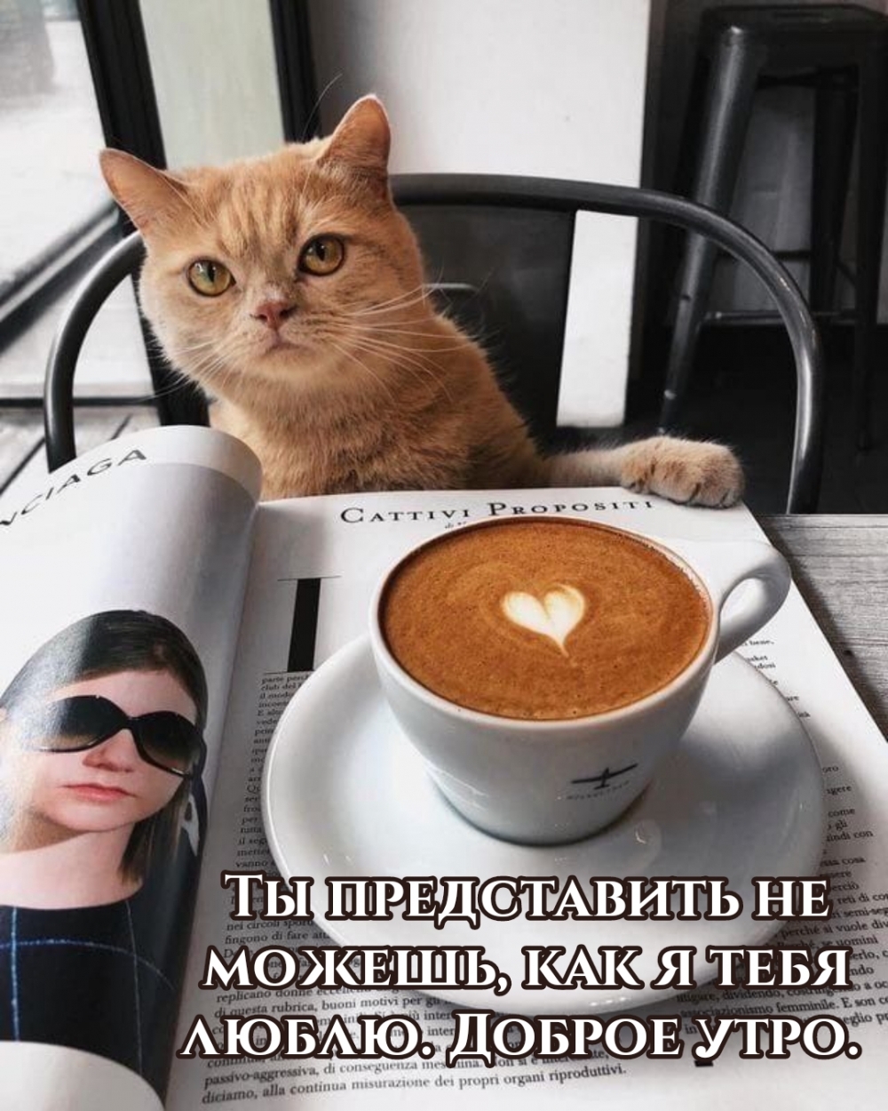 Ты представить не можешь, как я тебя люблю. Доброе утро.