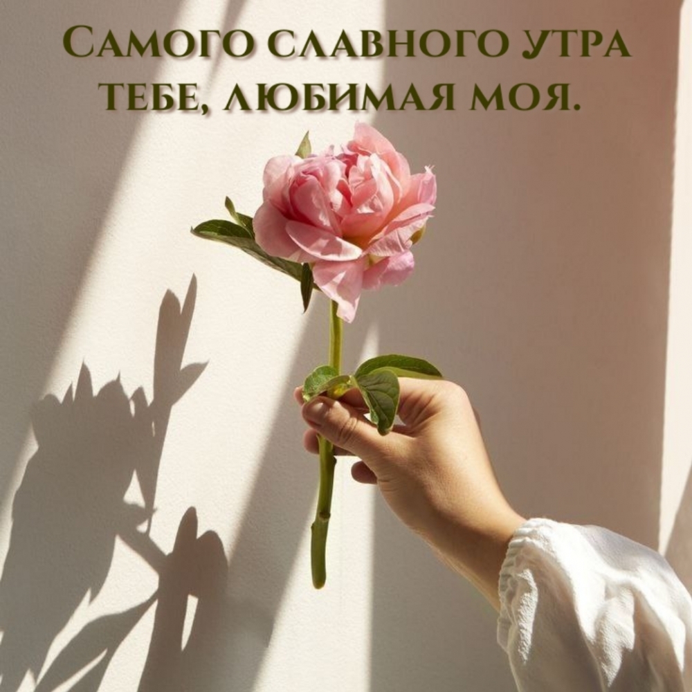 Самого славного утра тебе, любимая моя.