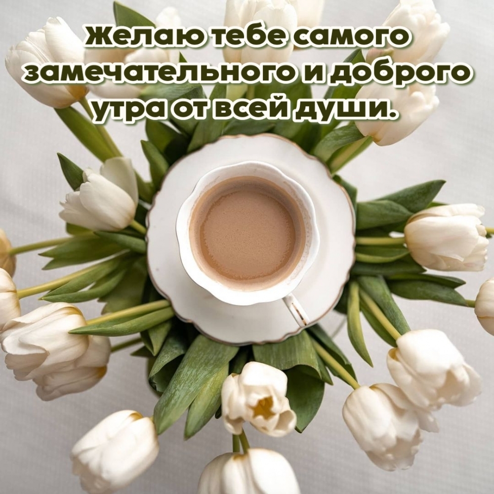 Желаю тебе самого замечательного и доброго утра от всей души.
