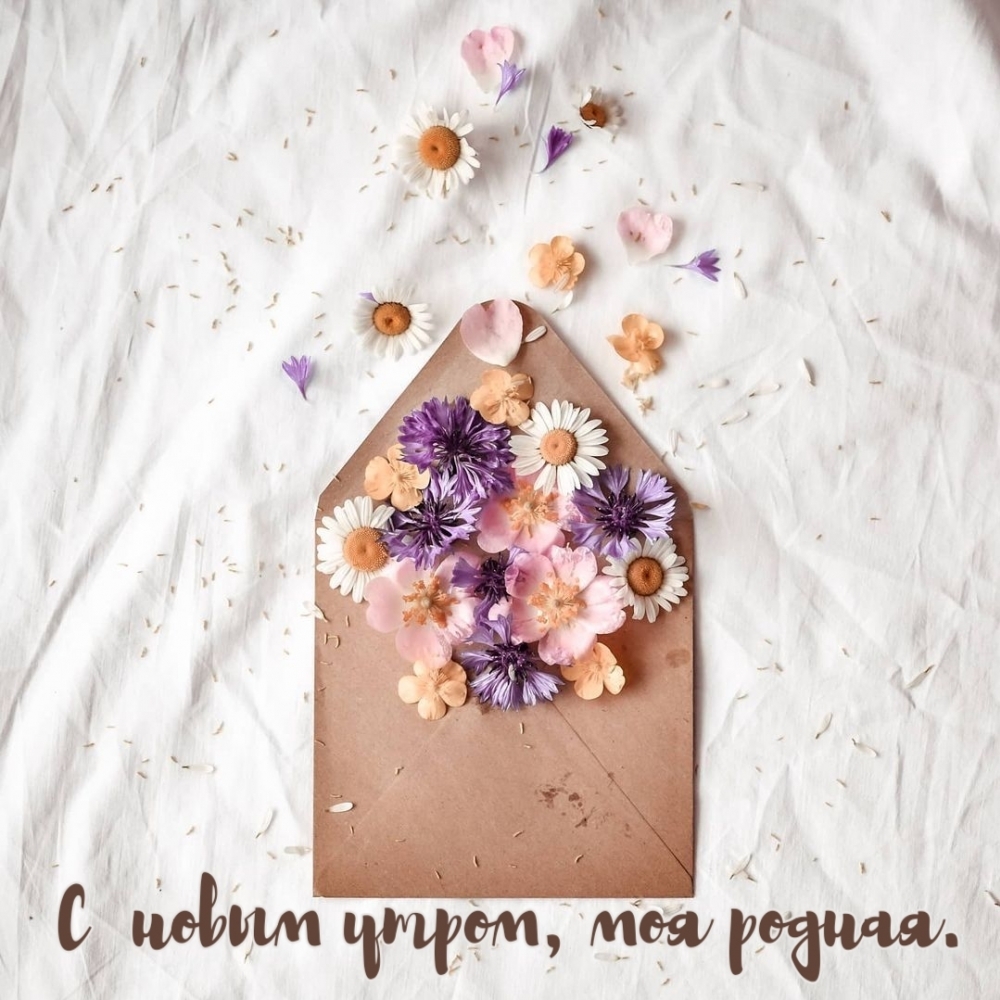 С новым утром, моя родная.