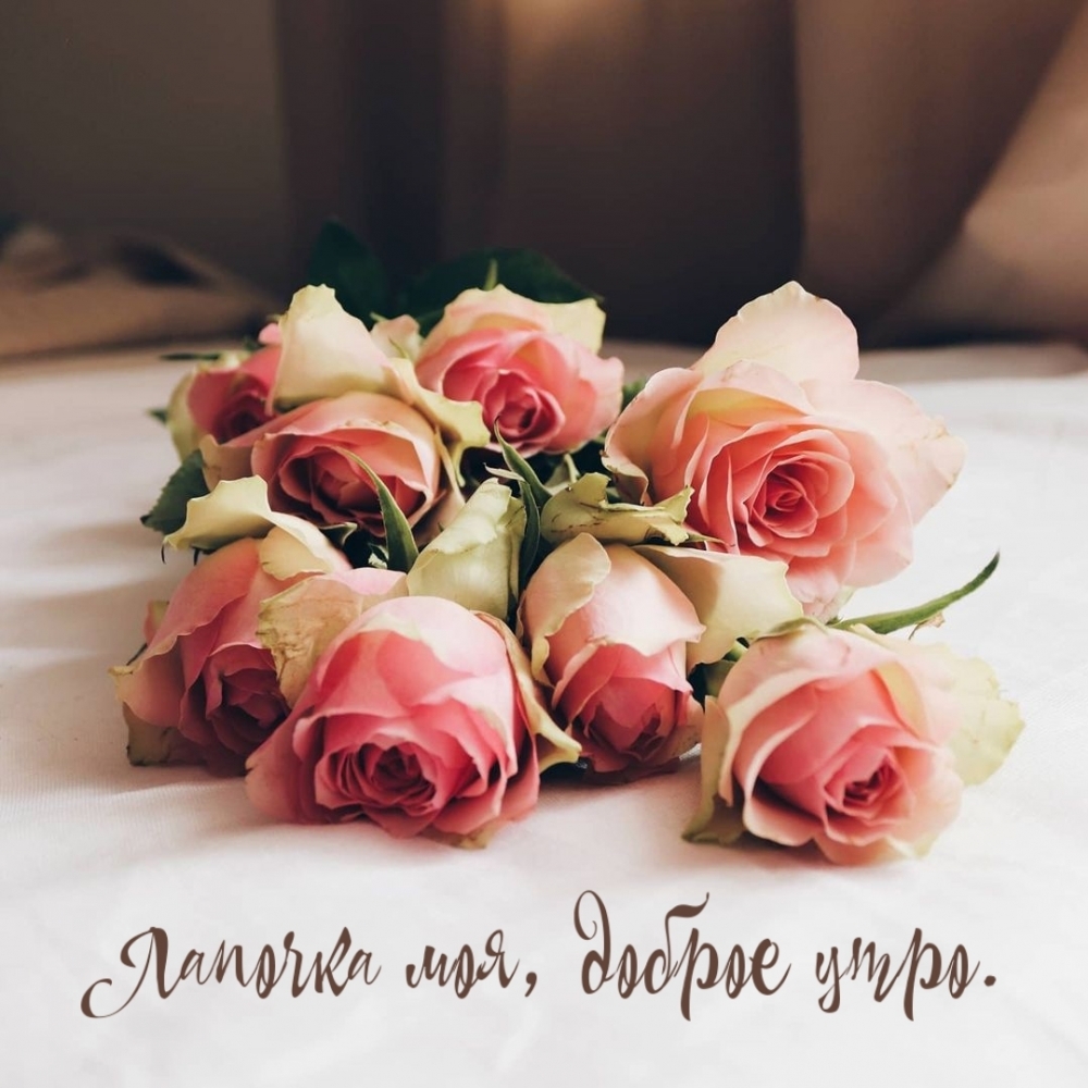 Лапочка моя, доброе утро.