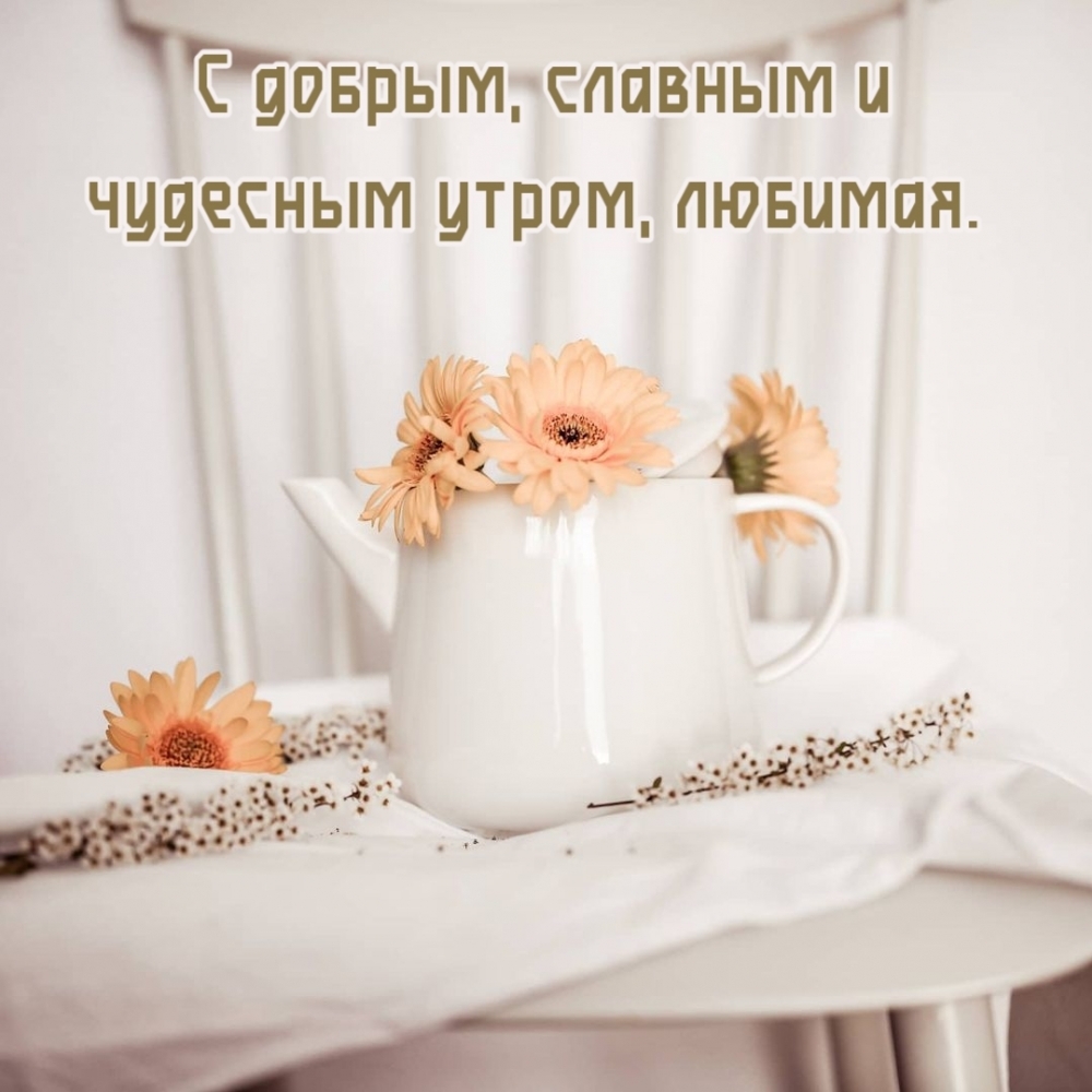 С добрым, славным и чудесным утром, любимая.