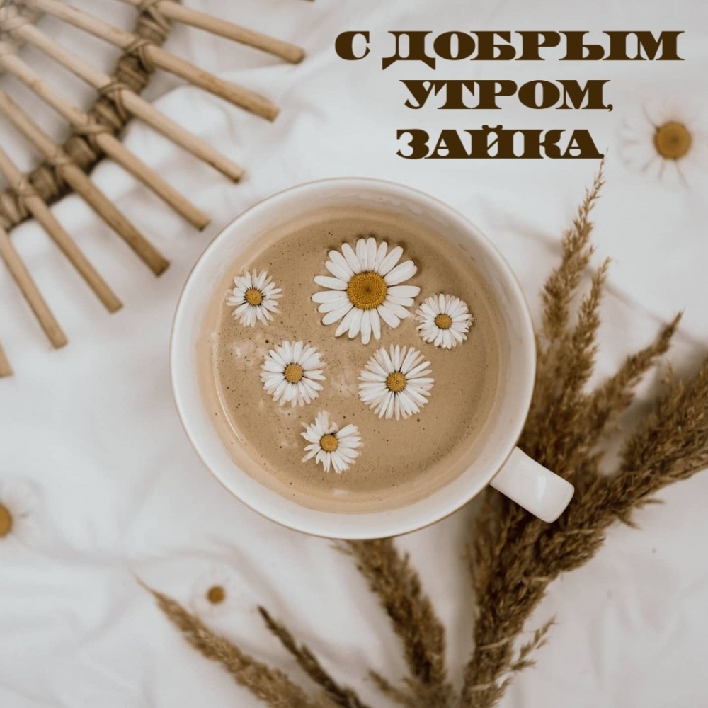 С добрым утром, зайка.