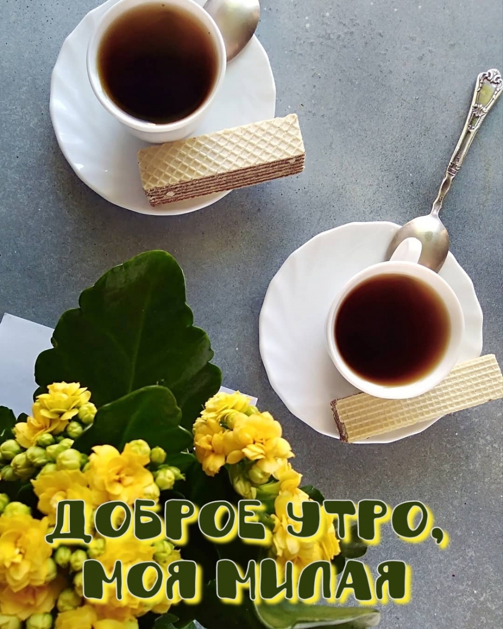 Доброе утро, моя милая