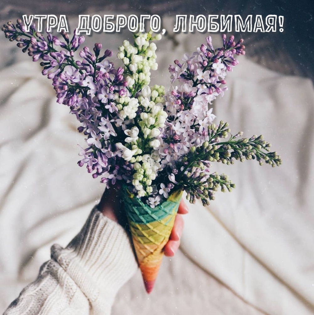 УТРА ДОБРОГО, ЛЮБИМАЯ!