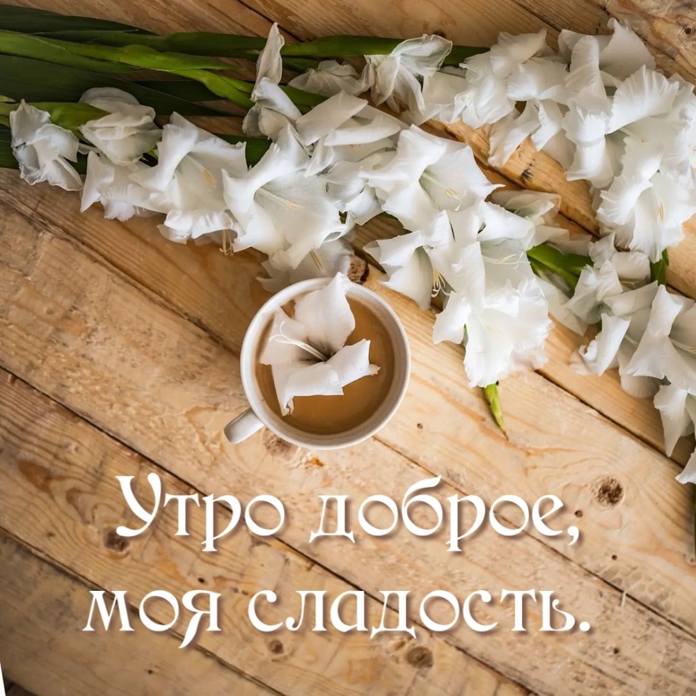 Картинка - Утро доброе, моя сладость..