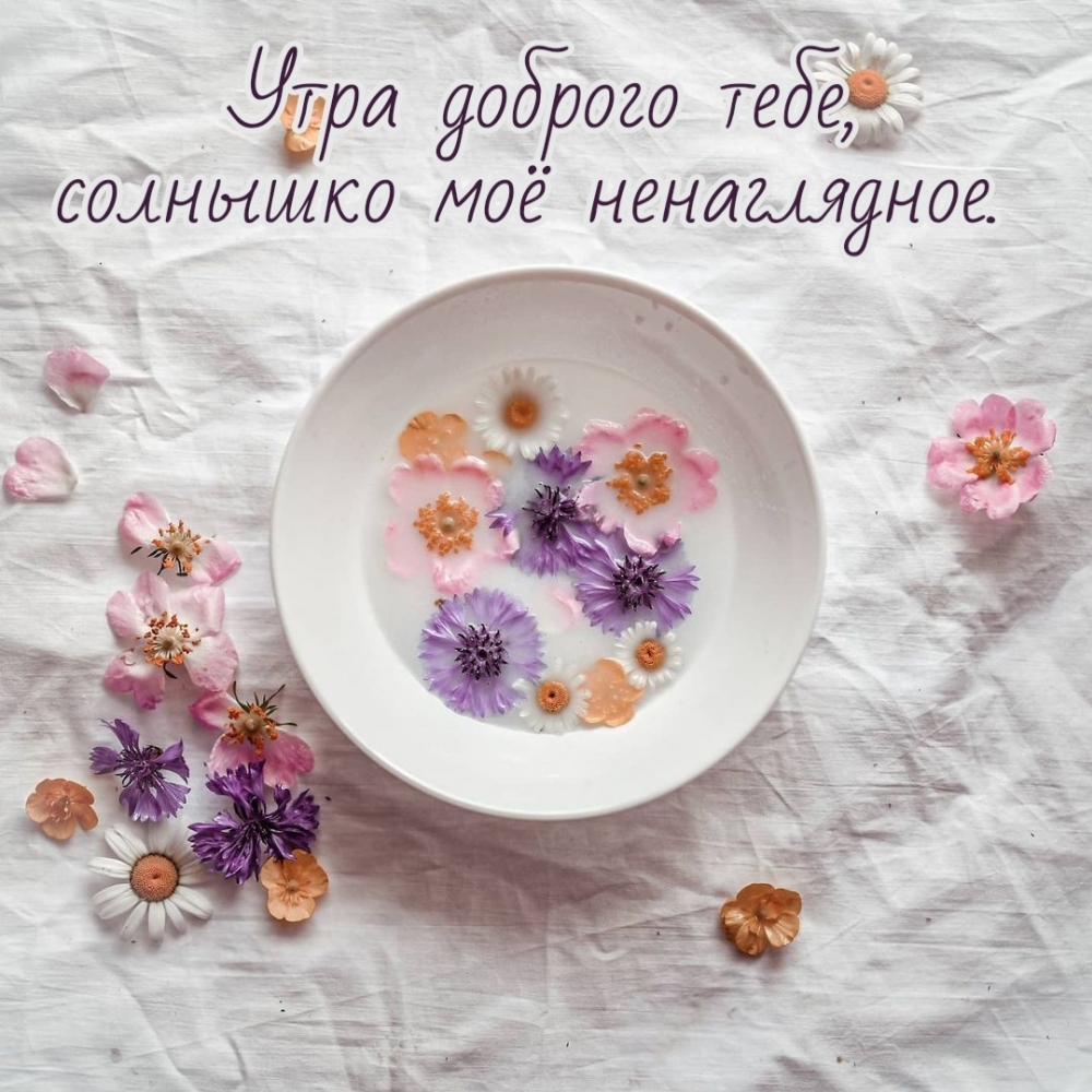 Утра доброго тебе, солнышко моё ненаглядное.