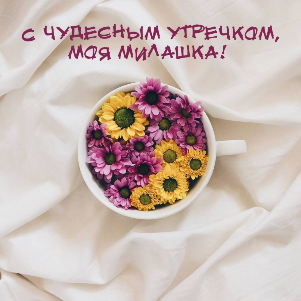 С чудесным утречком, моя милашка!