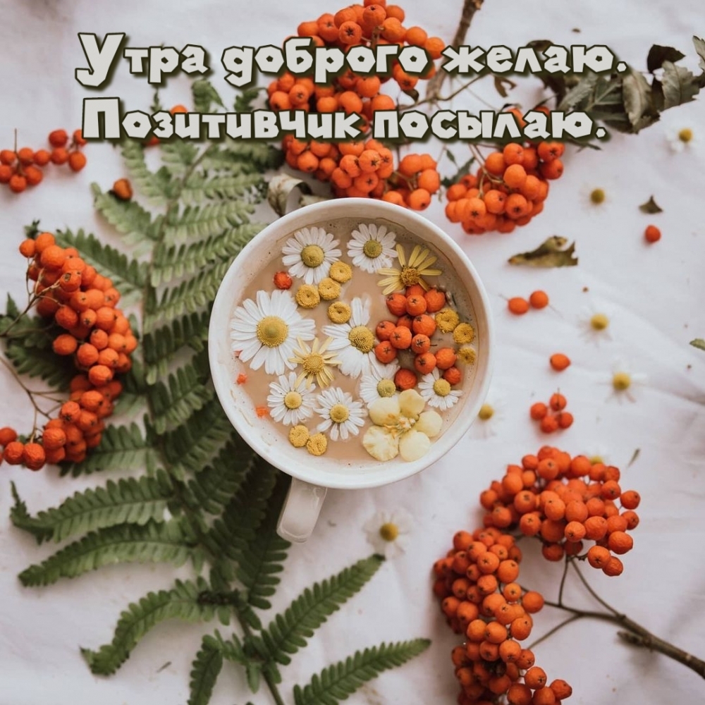 Утра доброго желаю. Позитивчик посылаю.
