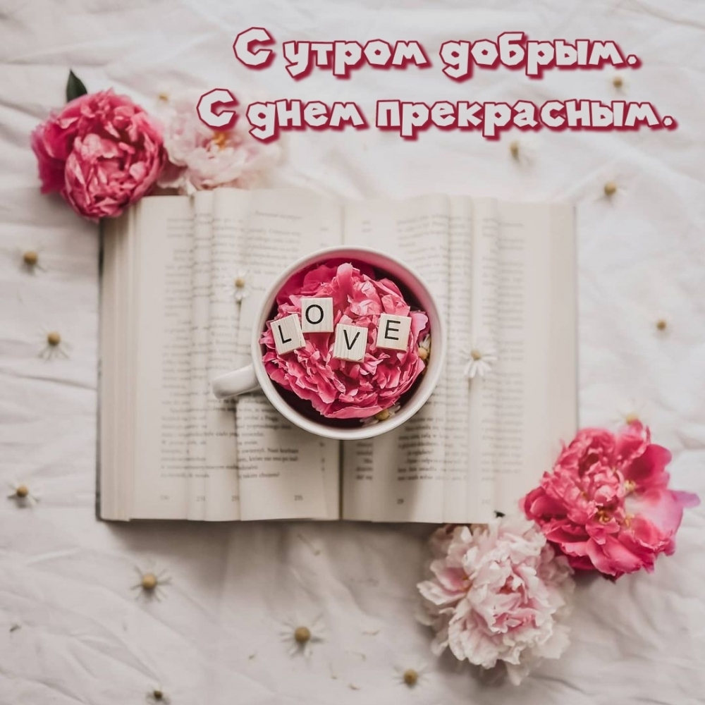 С утром добрым. С днем прекрасным.