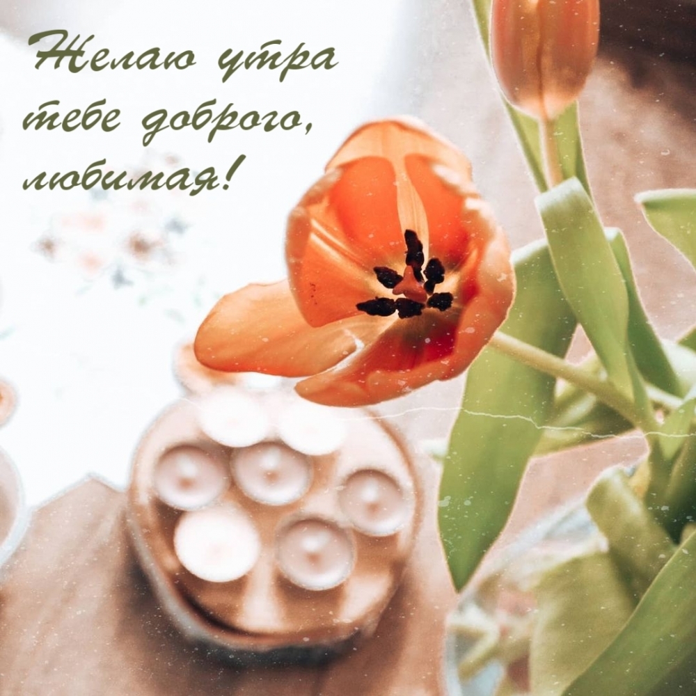 Желаю утра тебе доброго, любимая!