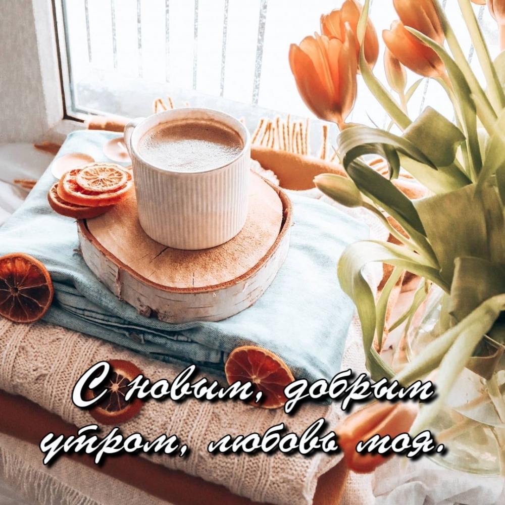 С новым, добрым утром, любовь моя.