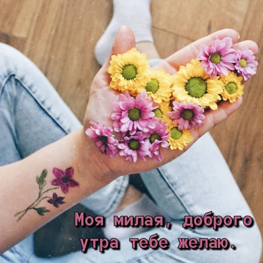 Моя милая, доброго утра тебе желаю.