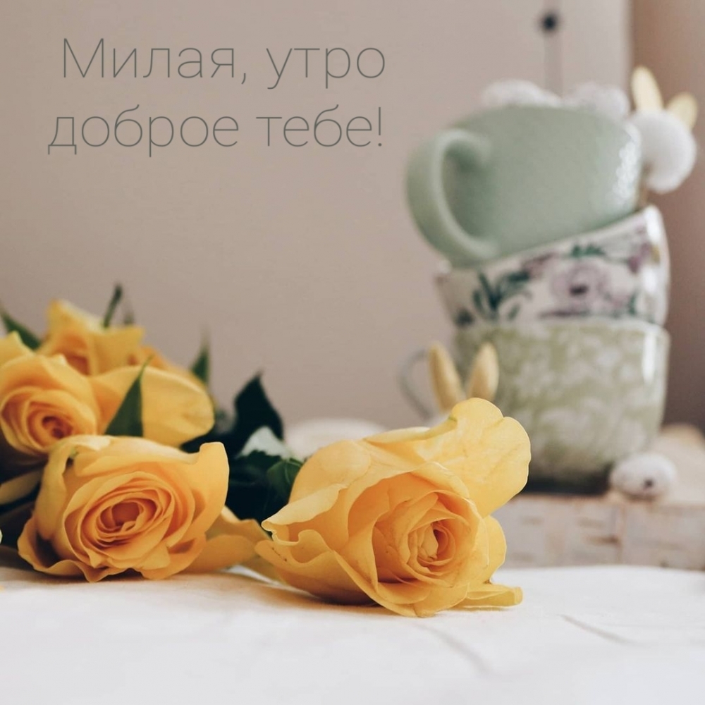 Милая, утро доброе тебе!