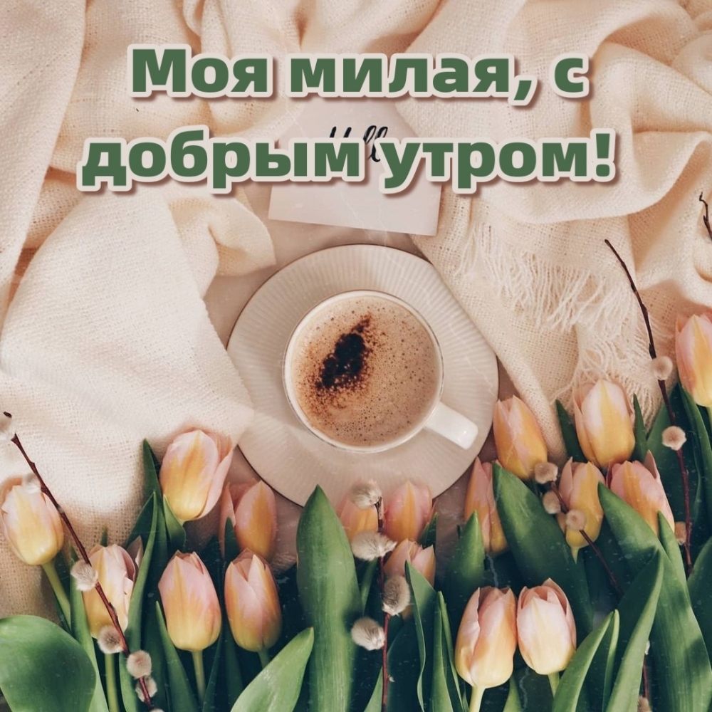 Моя милая, с добрым утром!
