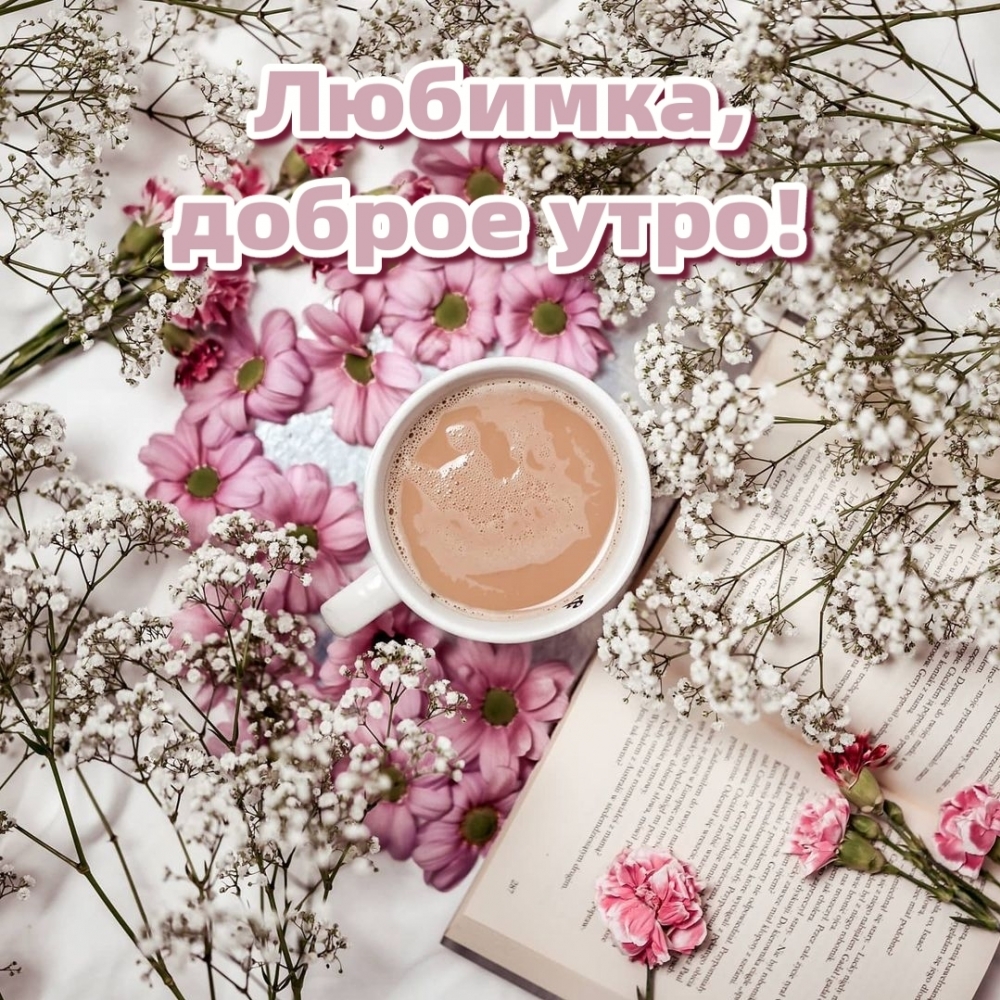 Любимка, доброе утро!