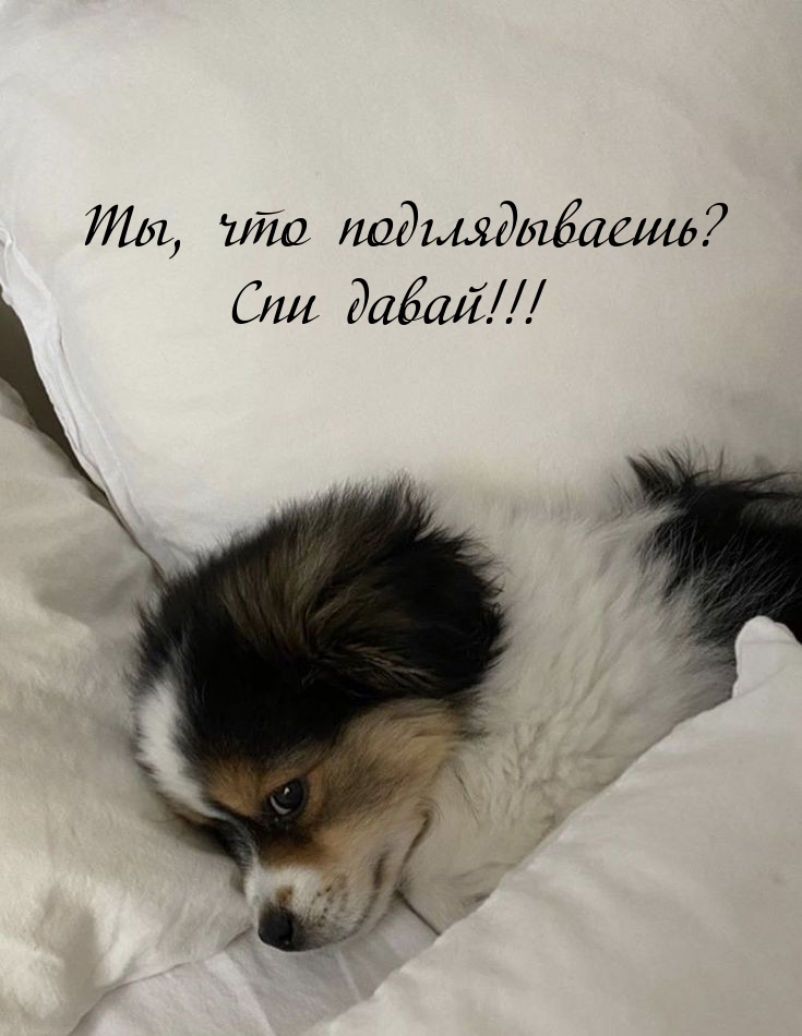 Ты, что подглядываешь? Спи давай!